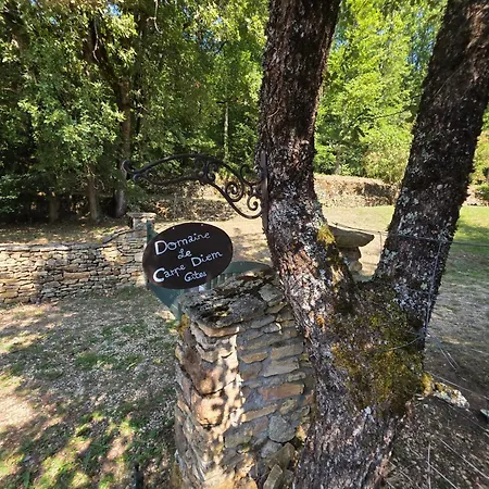 Le Carpe Diem, Le Petit Pattaris Tatil Evi