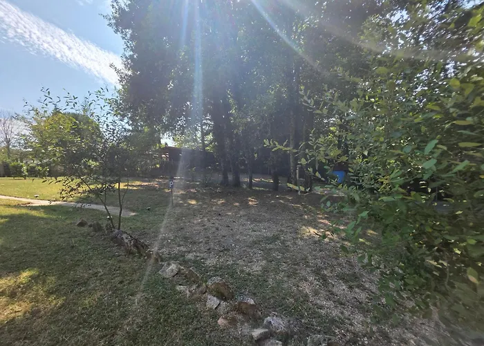 Le Carpe Diem, Le Petit Pattaris Frayssinet-le-Gélat